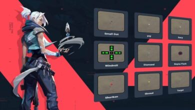 Valorant Crosshair Color Codes: Black Color Code 18 Valorant Black Color Code