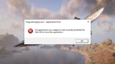 How to fix Hogwarts Legacy 0xc000007b error? 7 Easy methods 23 Hogwarts Legacy 0xc000007b error
