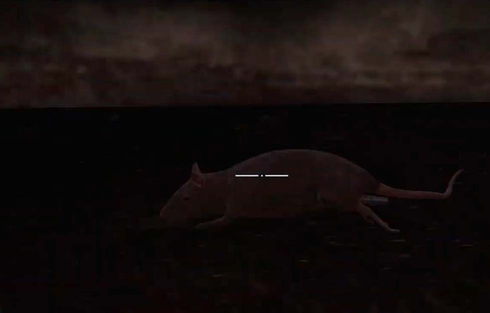 Sniper Elite 5 Rat Bomb 2 Put the rat under the shelves