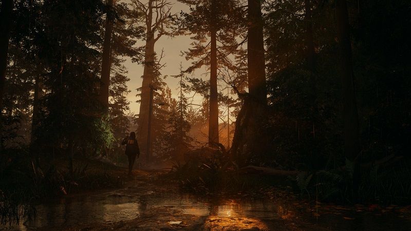 Alan Wake 2 screenshots released 5 Alan Wake 2 screenshots - 5