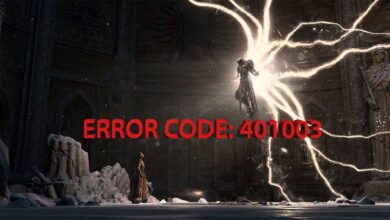 Diablo 4 error 401003 code