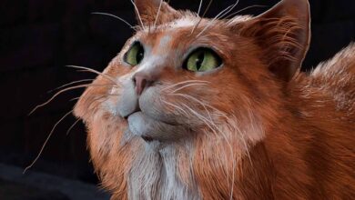 Baldur's Gate 3 Players Discover New Unmarked Quest 17 Baldur's Gate 3 Players Discover New Unmarked Quest