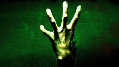 Valve Accidentally Released Early Version of Left 4 Dead 17 Valve Accidentally Released Early Version of Left 4 Dead