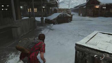 Developer Responded to The Last of Us Part 2 Remastered Criticisms 17 Developer Responded to The Last of Us Part 2 Remastered Criticisms