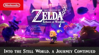 Legend of Zelda: Echoes of Wisdom, Princess' Sword Warrior Form 18 Legend of Zelda Echoes of Wisdom, Princess' Sword Warrior Form