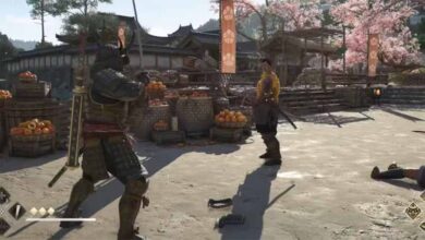 Assassin's Creed Shadows Facing Some Troubles 19 Assassin's Creed Shadows Facing Some Troubles