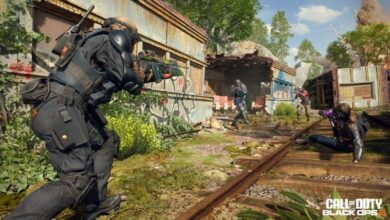 Black Ops 6 Players Only Have Days Left to Unlock Sirin