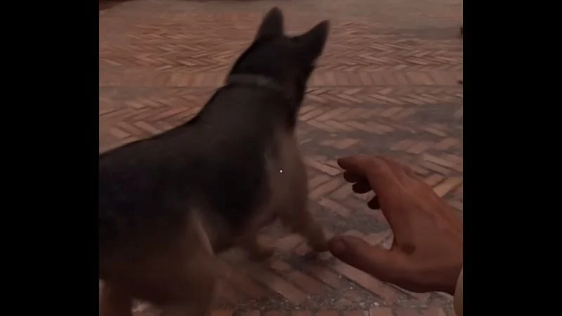 Why Can't Indiana Jones Kill Dogs? 1 Why Can't Indiana Jones Kill Dogs?