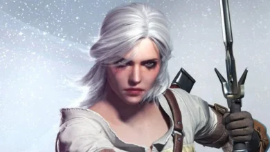 Why Did Ciri Become the Protagonist? 20 Why Did Ciri Become the Protagonist?