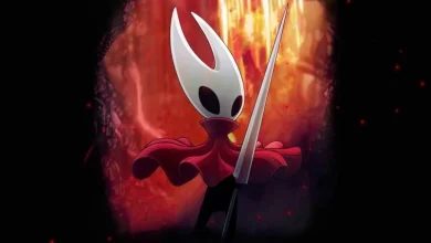 Hollow Knight Silksong May Release This Year 17 Hollow Knight Silksong May Release This Year