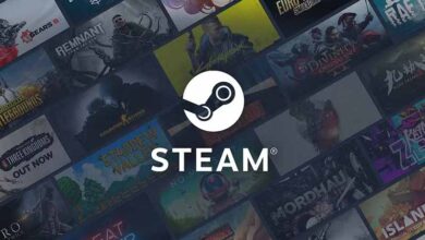 All Steam Sales of 2025 Revealed 19 All Steam Sales of 2025 Revealed