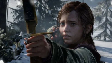 Have There Been Future Plans for The Last of Us? 20 Have There Been Future Plans for The Last of Us?