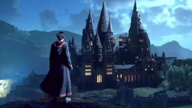 Harry Potter Online RPG Leaked 19 Harry Potter Online RPG Leaked