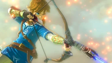 Someone Finished Zelda: Breath of the Wild Before Switch 2 Released 17 Someone Finished Zelda Breath of the Wild Before Switch 2 Released