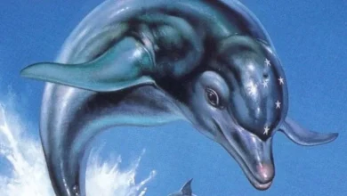 Ecco the Dolphin Series Officially Returns 19 Ecco the Dolphin Series Officially Returns