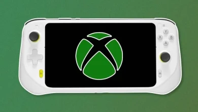 Xbox Handheld Console Project Suspended 19 Xbox Handheld Console Project Suspended