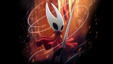 Hollow Knight Silksong Price Leaked 18 Hollow Knight Silksong Price Leaked