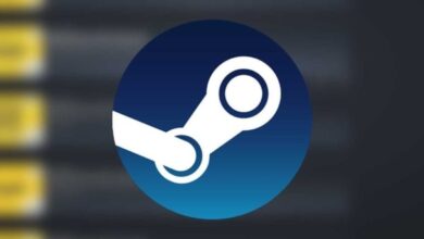 Increased Freedom in the Steam Interface 9 Increased Freedom in the Steam Interface