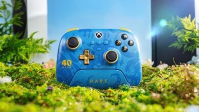 Rare's 40th Anniversary Xbox Controller Leaked 13 Rare's 40th Anniversary Xbox Controller Leaked