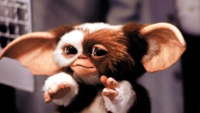 Steven Spielberg Expected for Gremlins 3 17 Steven Spielberg Expected for Gremlins 3