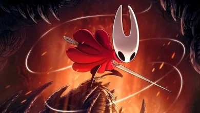 Pirates Couldn't Resist Hollow Knight: Silksong 20 Pirates Couldnt Resist Hollow Knight Silksong