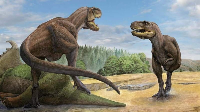 Ancestor of Tyrannosaurus Discovered: Khankhuuluu 1 Ancestor of Tyrannosaurus Discovered: Khankhuuluu