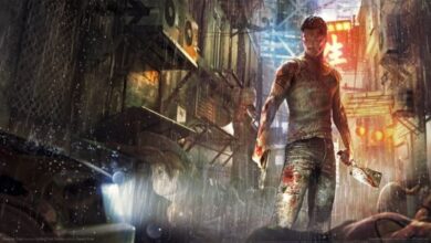 New Information Arrived About the Sleeping Dogs Movie