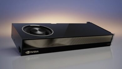 NVIDIA RTX Pro 6000D Knows No Competition
