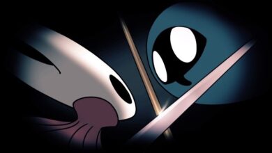 Team Cherry Considering a New Game to Replace Hollow Knight 3