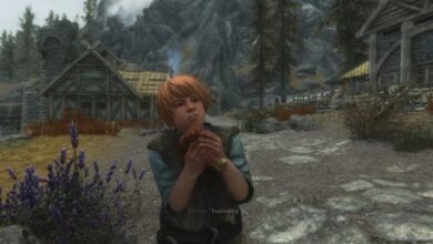This Skyrim Quest Is Driving Players Crazy