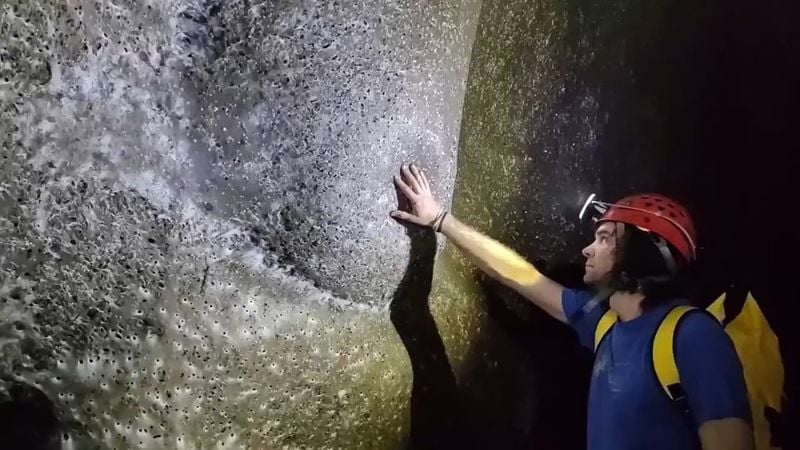World's Largest Spider Web Discovered