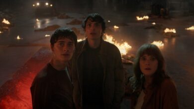 300,000 Stranger Things Fans Want Unseen Footage