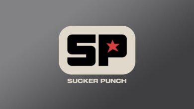 A Name That Has Been with Sucker Punch for 30 Years