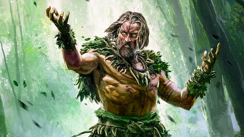 Druid increased the problems in Path of Exile 2