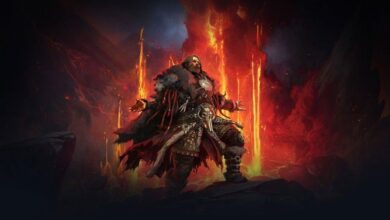 Druid increased the problems in Path of Exile 2