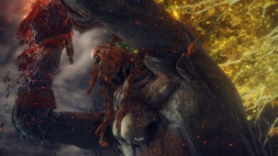 Elden Ring's Hardest Boss Killed at Level 1