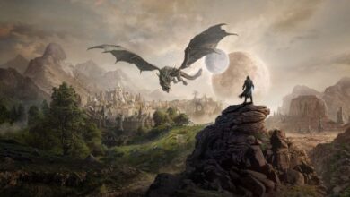 Elder Scrolls 6 Should Take Players to 3 New Regions