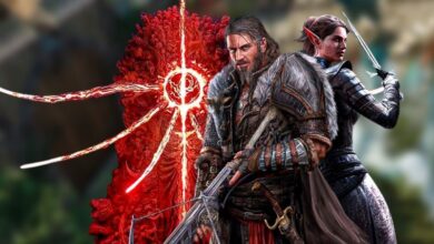 Larian Announces New Divinity Project