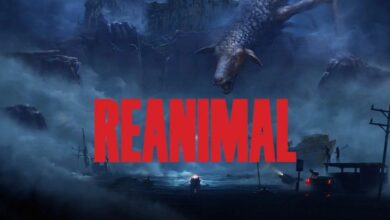 Reanimal is already ready for discharge