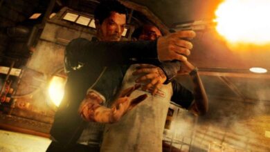 Sleeping Dogs Movie Finds Its Director