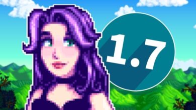 What will the Stardew Valley 1.7 update bring