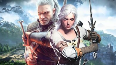 Witcher 3 DLC may be released very soon