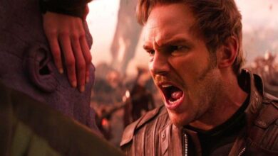 The Infinity War Controversy has Affected Chris Pratt more than Expected