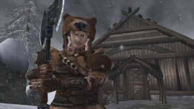 According to the Skyrim Leader, Even if Morrowind Remake were Released, It Wouldn't be Playable