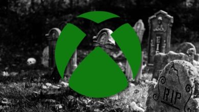 According to the Xbox Founder, the New CEO will Destroy the Brand