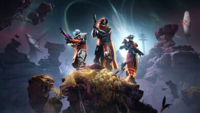 Destiny 2 Shadow And Order Postponed