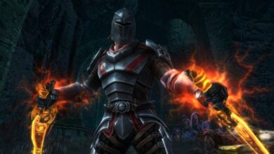 Kingdoms Of Amalur Must Continue