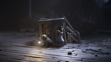 Reanimal Received Positive Feedback but was Considered Too Short