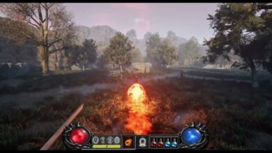 A Developer has Converted Diablo 2 to an FPS Using UE5