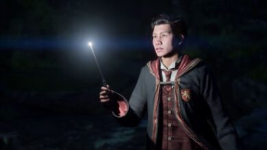 Hogwarts Legacy Players Discovered a Secret Area at Hogwarts